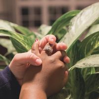 Brides of 2020!  Show us your ring! - 1