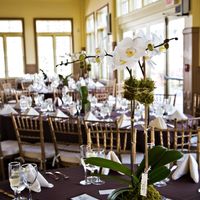 Latex-free silk flowers available?  Has anyone worked with downtown LA floral vendors?