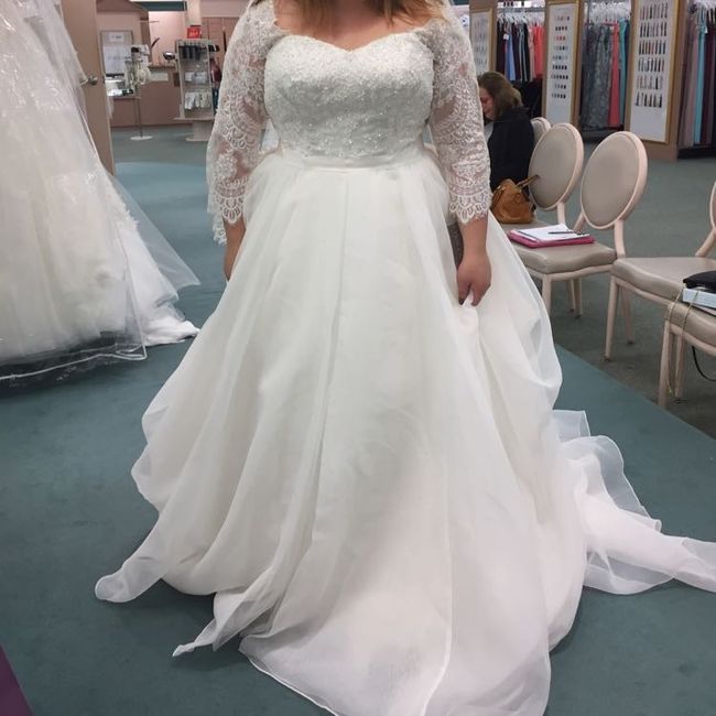 Davids Bridal Dresses!