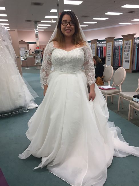 Wedding Dress in 1 Year Anniversary Pictures?