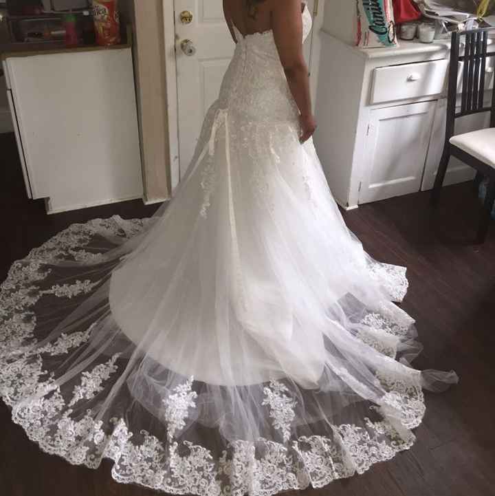BELT OR NO BELT?!