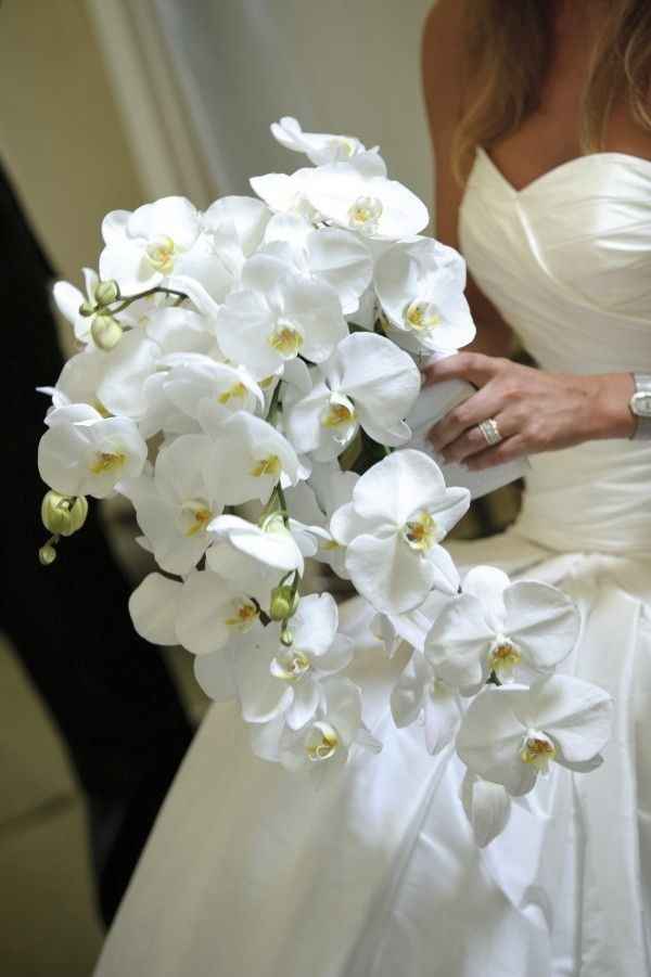 How Much Were Your Orchids?