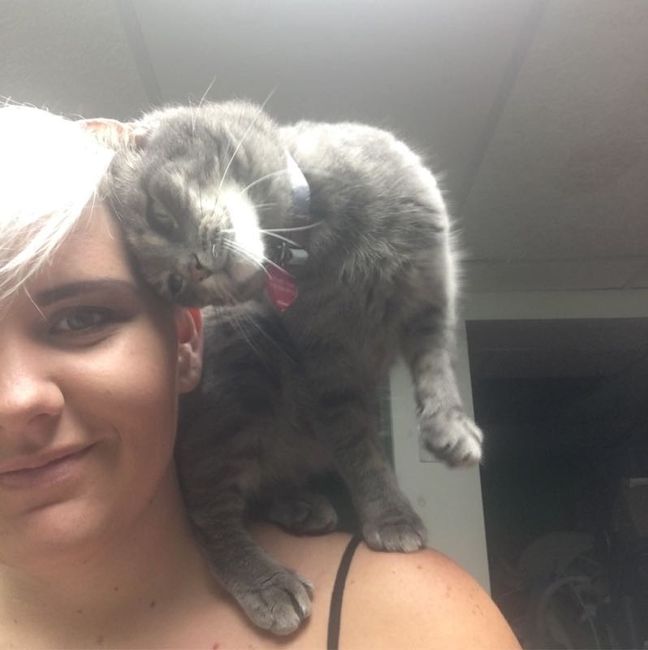 Show my your kitties!