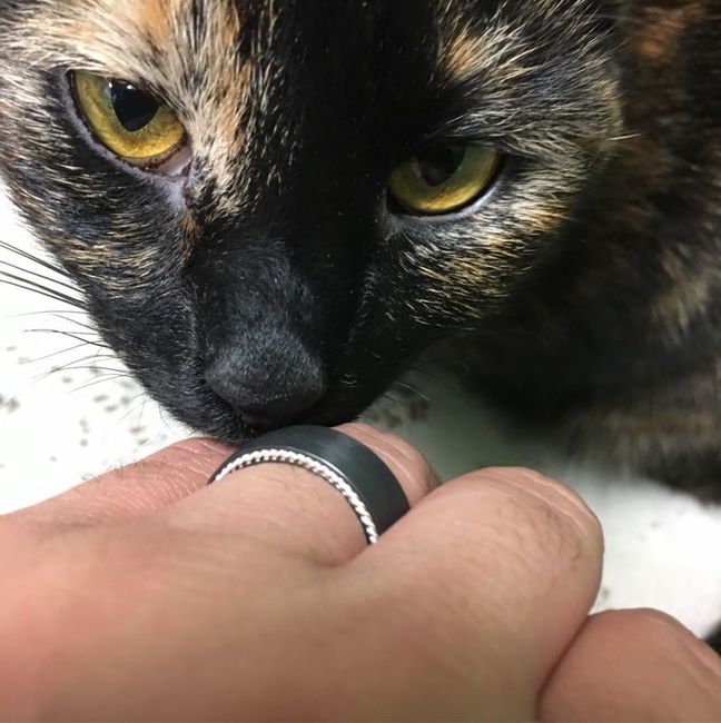 We show off our rings a lot, why not show off your grooms ring!