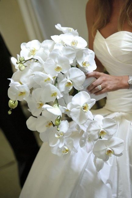 How Much Were Your Orchids?