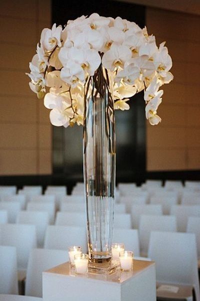 How Much Were Your Orchids?