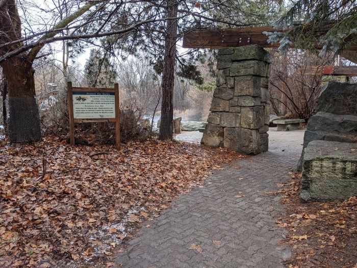 Seeking advice for ceremony decor! 3