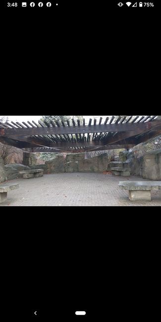 Seeking advice for ceremony decor! 4