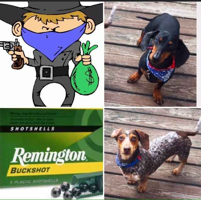 NWR: Pet Owners...Can we play a fun game? :D