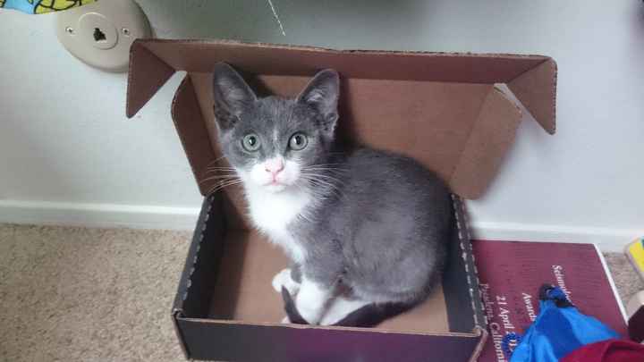 NWR Happy Fursday!!!