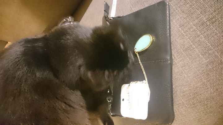 WW Secret Santa Thank You / Guessing Thread