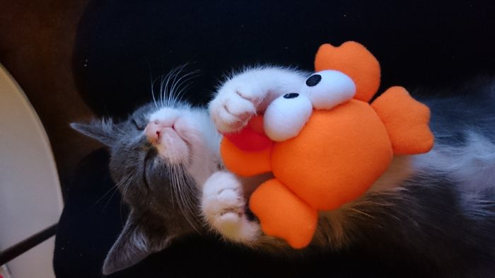 NWR: Fur-babies