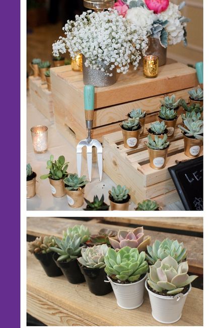 Succulent Centerpieces