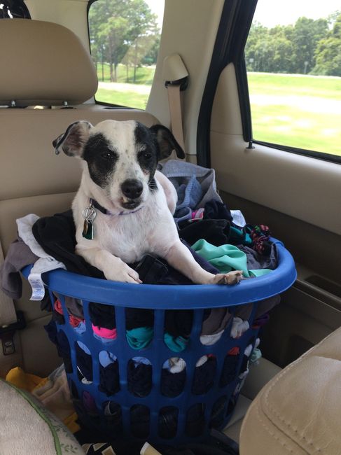 NWR: Show off your furbabies!