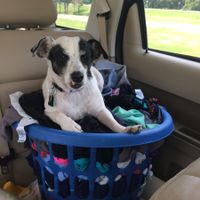 NWR: Show off your furbabies!