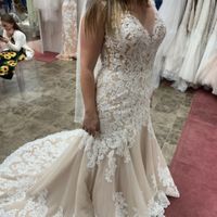 Brides of 2022 - Dress Pics! - 1