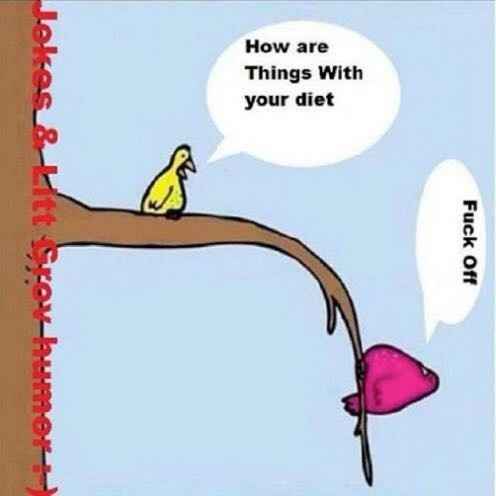 Meme War: Vets vs. Newbies