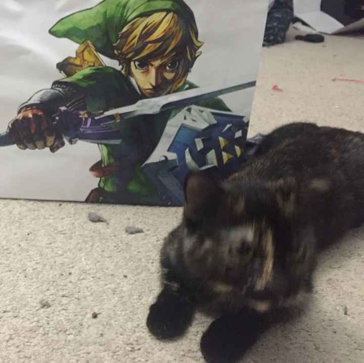 Why do I love my dog so much?