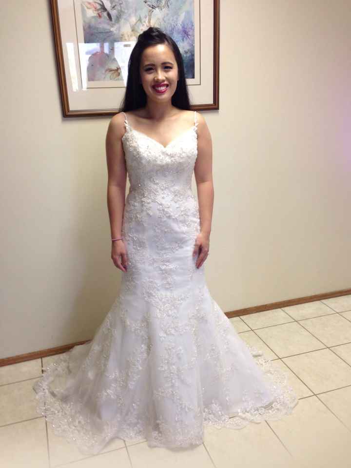 Honest opinion-should I sash it?