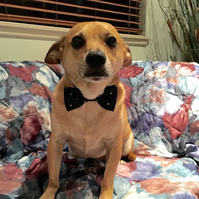 Getting married today!