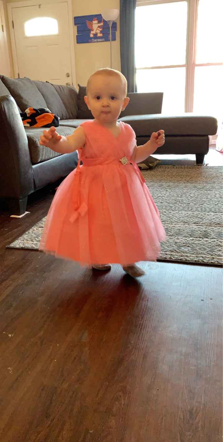 Flower girl dresses - 1