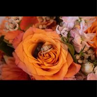 Pro pictures - 7