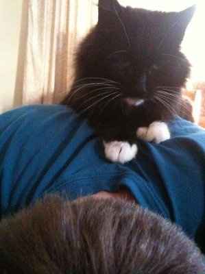 *NWR* Post pics of your furry (or not so furry) kids!