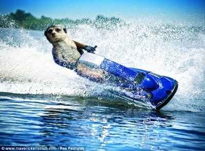 Kimi - where are you? Did you get lost at sea in the Keys?