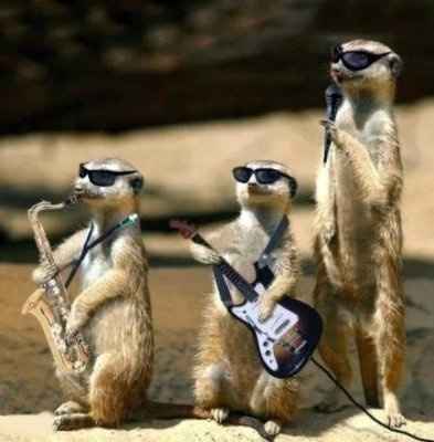 Kimi - where are you? Did you get lost at sea in the Keys?