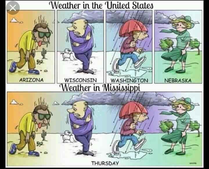 Weather