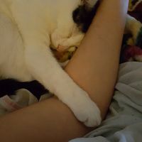 Show off your fur babies!