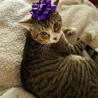 Show off your fur babies!