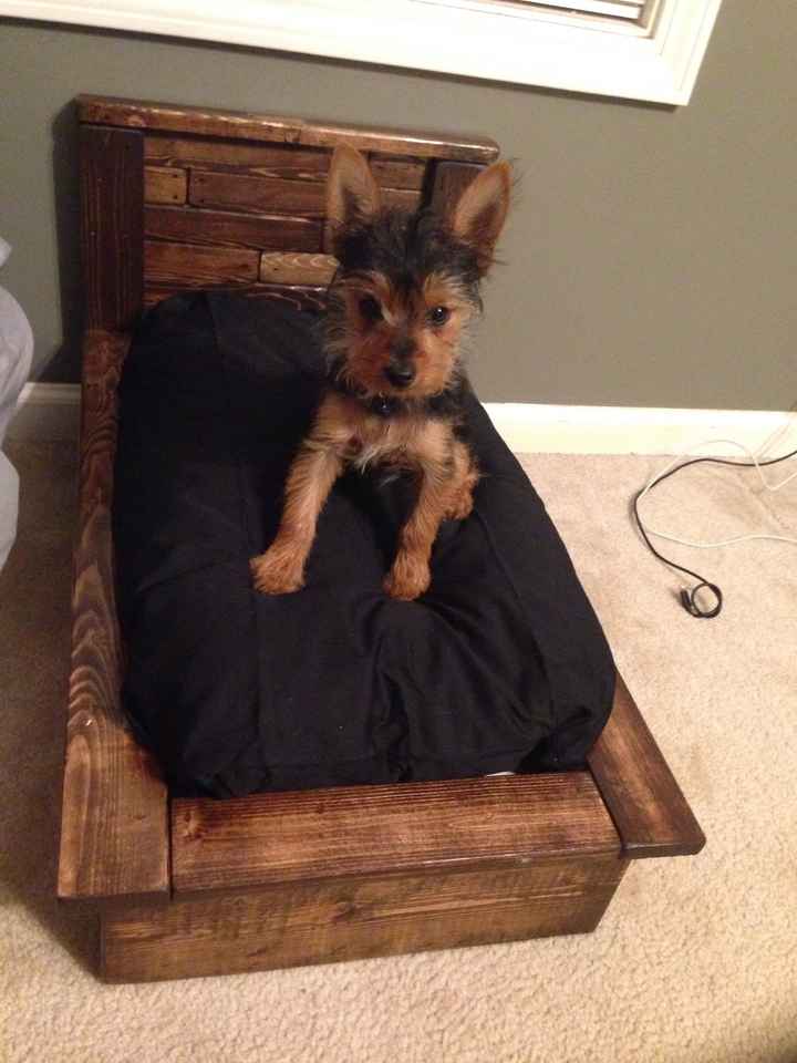 Happy Fursday Everyone!! :)