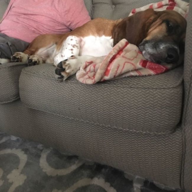 NWR: My pup thinks she's people. She's right. Show me your "people pups!"