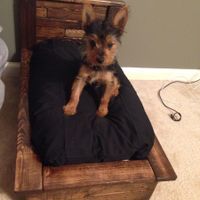 Happy Fursday Everyone!! :)