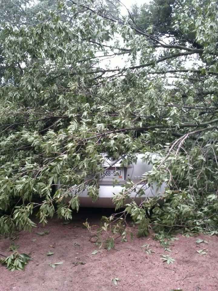 NWR: I WOKE UP THIS MORNING AND FOUND A TREE LAYING ON MY CAR!!! *PICS*