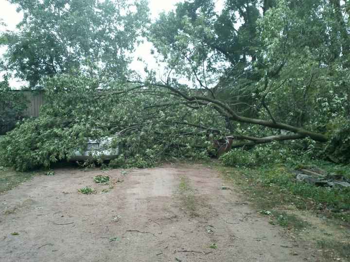 NWR: I WOKE UP THIS MORNING AND FOUND A TREE LAYING ON MY CAR!!! *PICS*