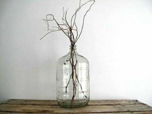 Needing Ideas: Large Empty Wine Jugs - 1