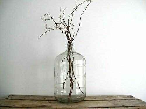 Needing Ideas: Large Empty Wine Jugs - 1