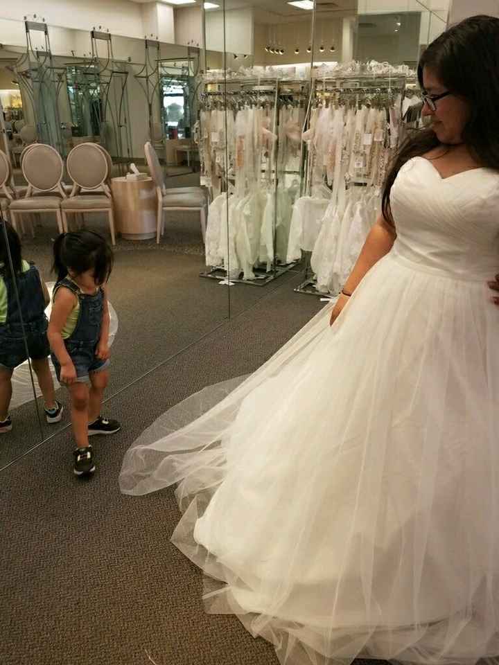 My Dress Has Arrived!! - 1
