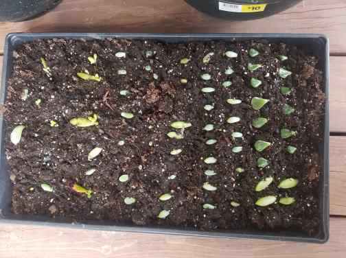 Any and Everything diy - 1