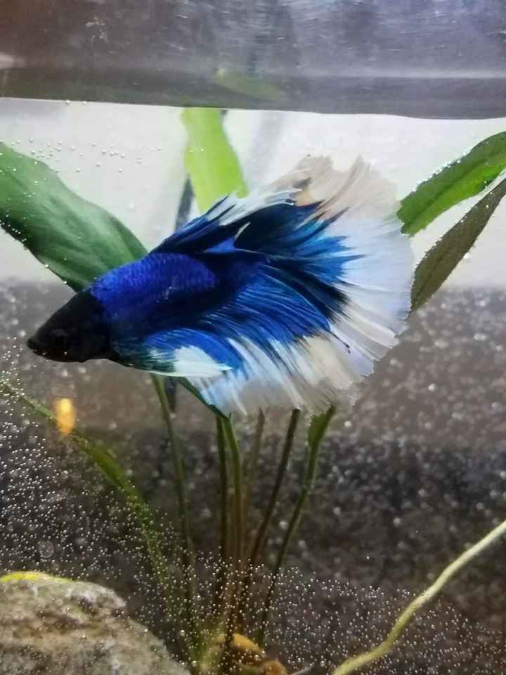 NWR: got fired today and need cheering up!