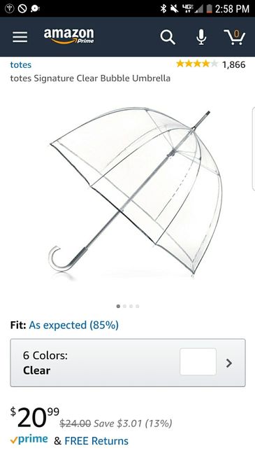 The Perfect Clear Umbrella