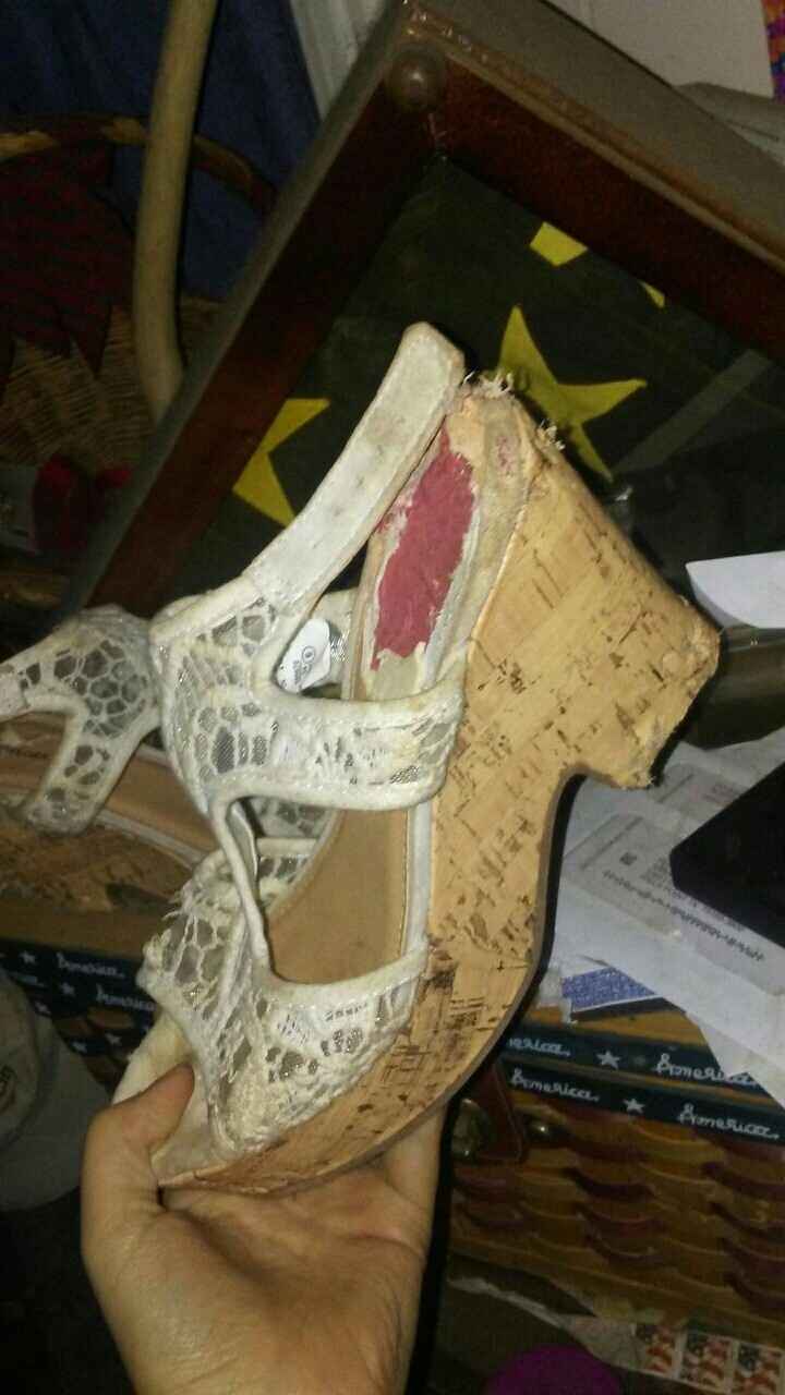 My dog... Did what?!?