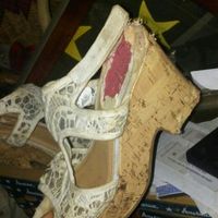 My dog... Did what?!?