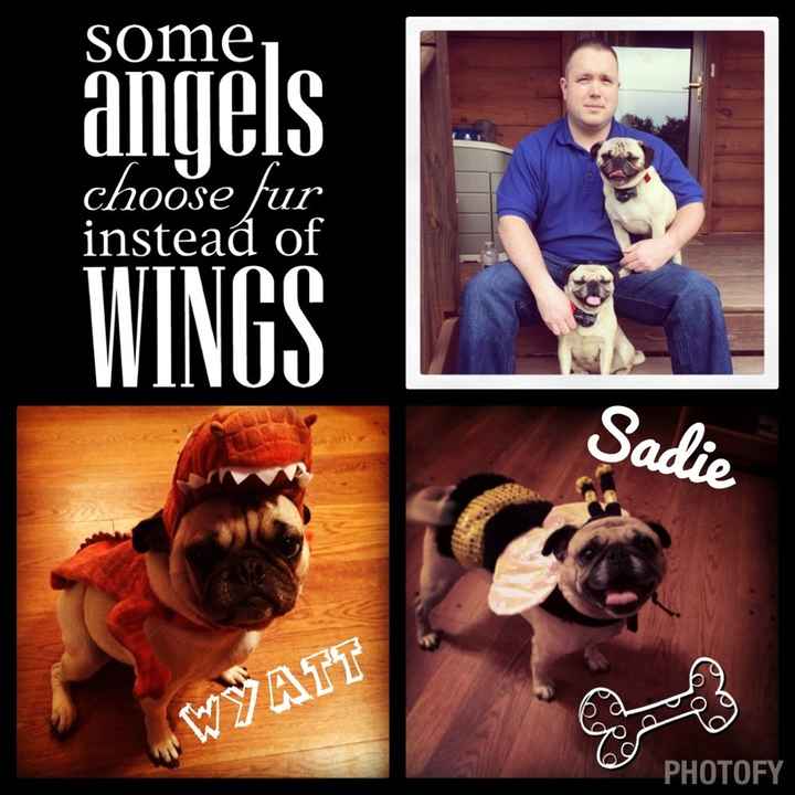 Its Fursday! Show me your furbabies! :)