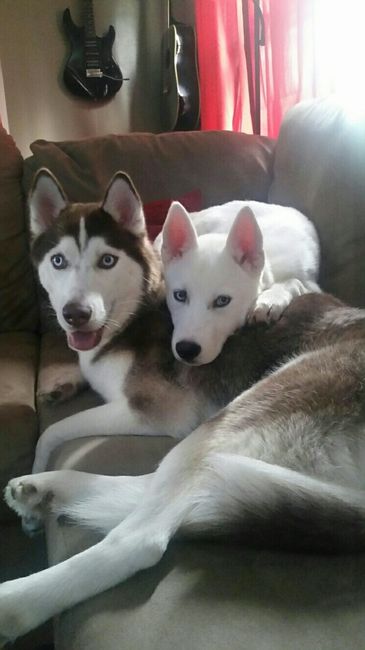 NWR Animal Lovers
