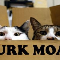 Is it OK to ask for monetary gifts for wedding