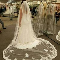 Veil or no veil?