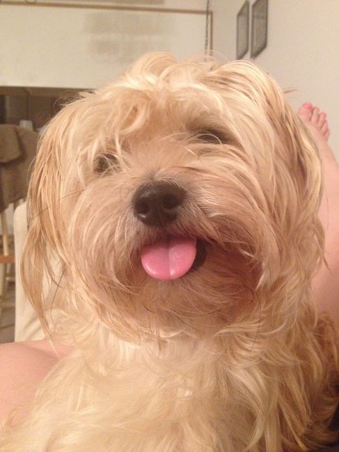 NWR Show me your furbabies